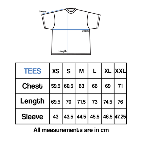 Frost Clothing 300GSM Heavyweight, Boxy Fit Graphic Tee Size Guide